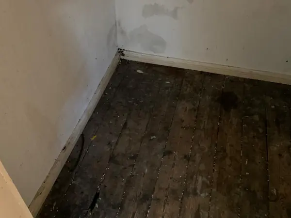 The same house emptied room by room