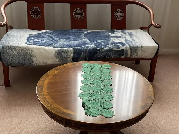 Furnished house before a probate clearance