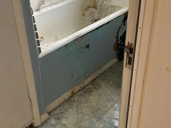 The same flat emptied and swept