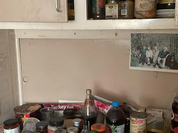 Hoarded flat before clearance