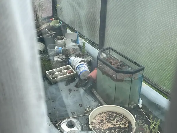 Hoarded flat before clearance